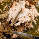 picked over thanksgiving turkey